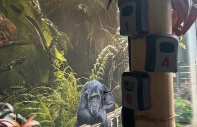 Punto Zero Lux il primo boutique concept a Reggio Emilia - Foto 3