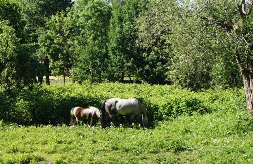 Villa Ulinia - Photo 25