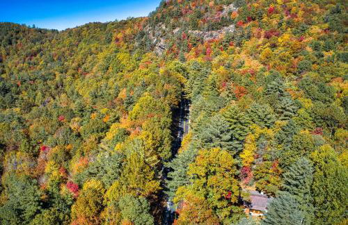 Fire Pit, Grill, and Views Cashiers Getaway! - Foto 32