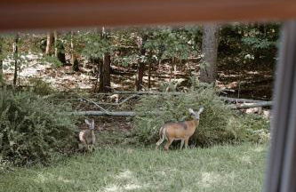 renovatedhot tublake accesspedal boatcozychic - Foto 64