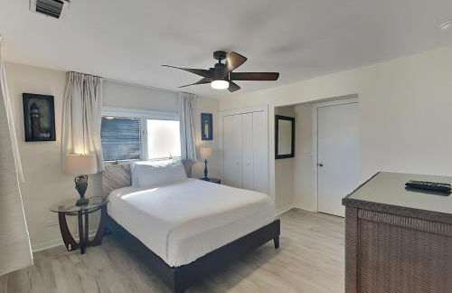 Lion On The Beach - Photo 30