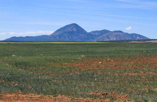 Unique Cortez Family Getaway with Mountain Views! - Foto 42