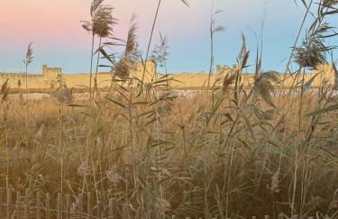 La Perle Rose Villa Standing 5 étoiles avec piscine jacuzzi et superbe vue - Foto 43