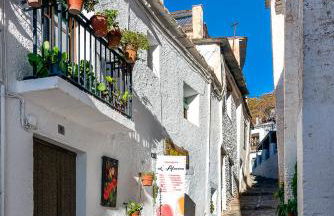 Apartamento Casa Manuela en Capileira - Alpujarra - Foto 33