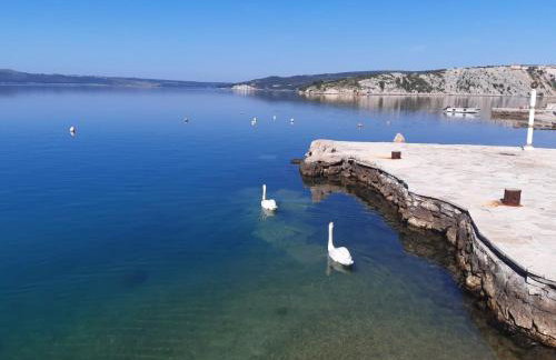 APARTMAN Viktor - Foto 24