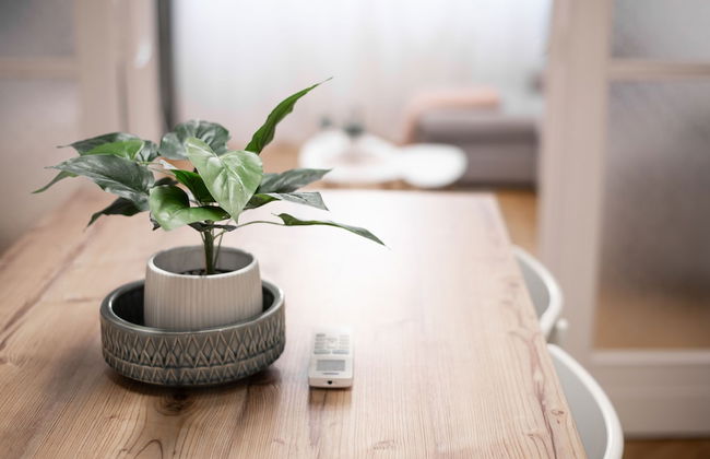 Venus Apartments - Paulay Ede Street - Foto 26