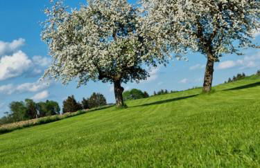 Ferienhaus Ritzmais - Foto 12