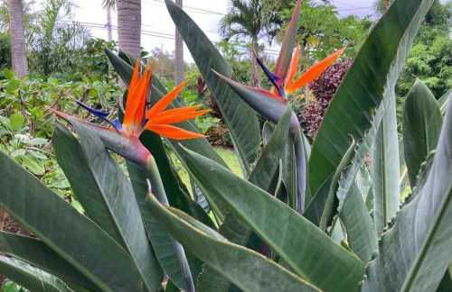 Comfort Nest - Foto 34