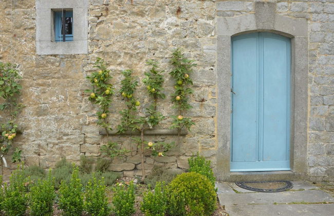 Ardennes Castle Retreat for Groups - Foto 39