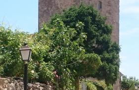 Estrella rural casa rural en la Sierra de Madrid - Foto 49