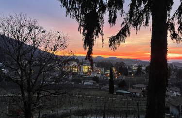 Vite in Rosa La Casetta - Foto 44