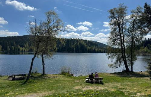 BergOase-Apart am Feldberg - Foto 37