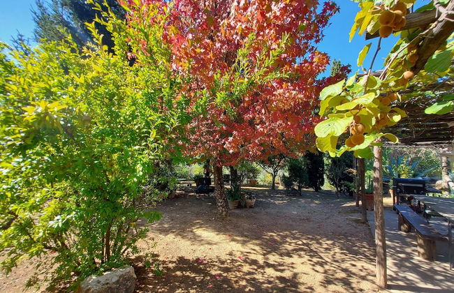 Holiday Home in Tuscany Near Lucca - Foto 33