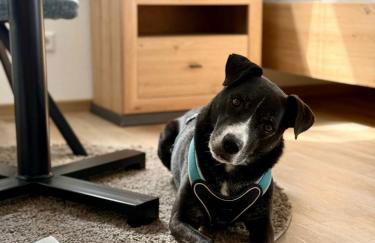 Apartment Chardonnay in Seenähe - Foto 5