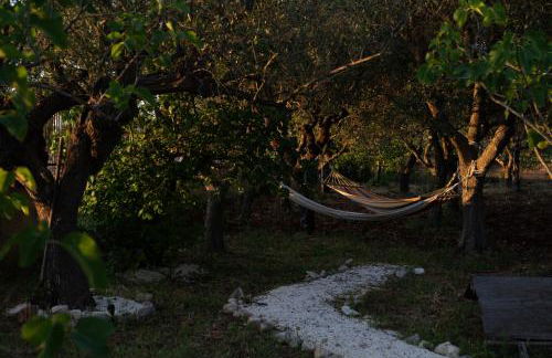 Casa Vacanze Villa Dan - Foto 35