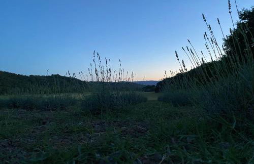 Casa Vacanze Podere San Giusto Volterra - Foto 71