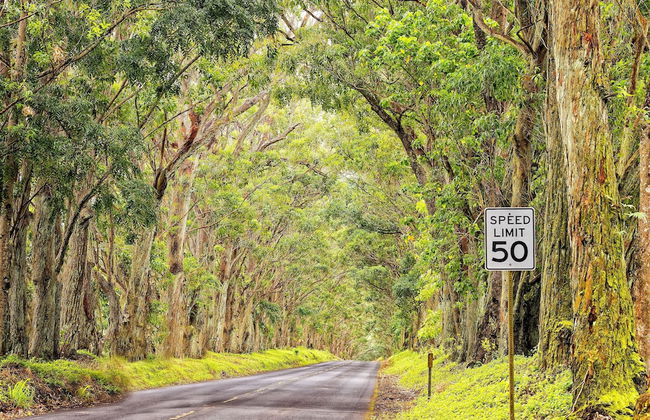 Nakoa Kai 3 Bedroom Home by RedAwning - Foto 28