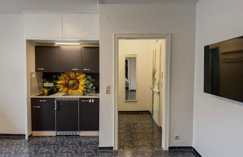 T&K Apartments - Krefeld Zentrum - 1 and 2 room Apartments 20min to Fair DUS - Foto 2