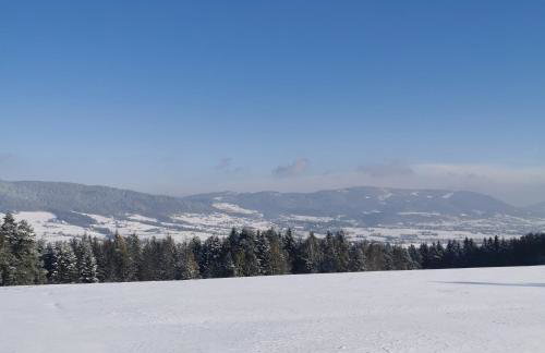 Dream Catcher House - dom do wynajęcia w górach - Foto 7