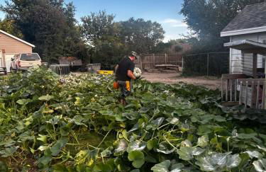 Little house in the alley - Foto 22