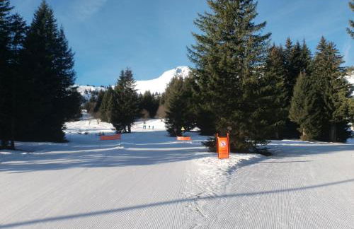 Studio coeur de station de Praz de Lys 1500m - Foto 34