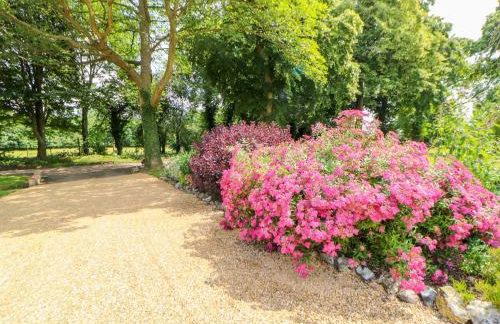 The Cart Shed - Foto 21