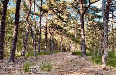 Kleine Krabbe - Foto 27