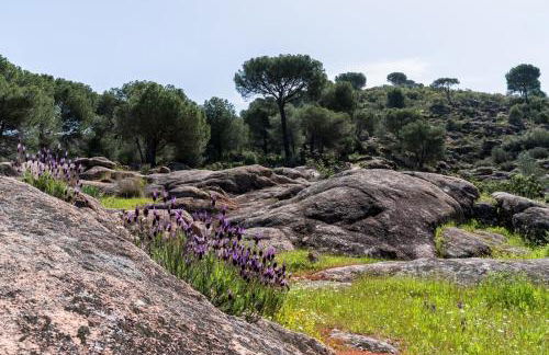 Casa el Paraíso del Lago Alojamiento Rural - Foto 51