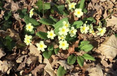 Gîte des Graves de Lilou - Foto 76