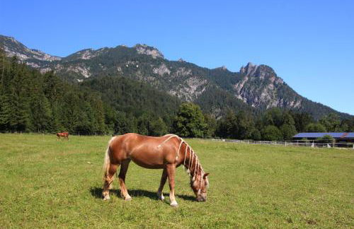 Ferienwohnung 1 Gestüt Pfaffenlehen - Foto 25