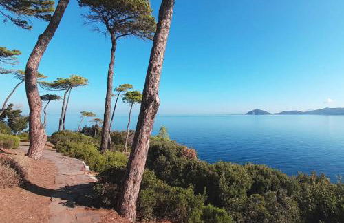 Villa Garibaldino - Foto 28