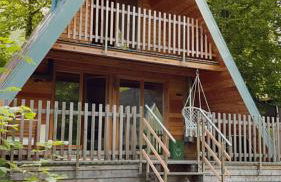 Wildkräuter Hexenhaus - Foto 6