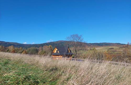 Niedźwiedzi Zakątek - Foto 79