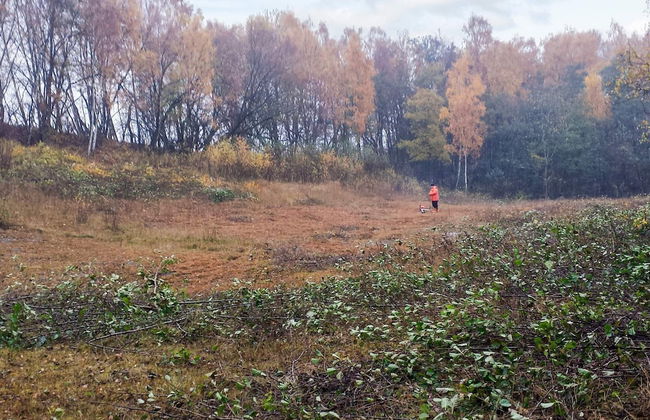 5 Person Holiday Home in Raa/helsingborg-by Traum - Photo 9