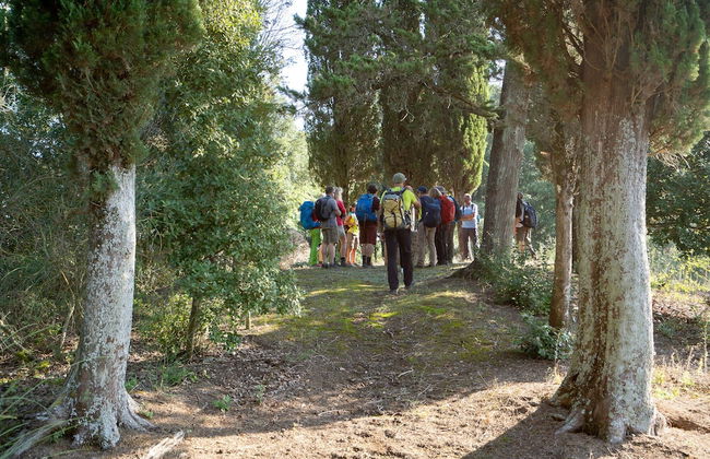 Torraccia di Chiusi - Foto 66