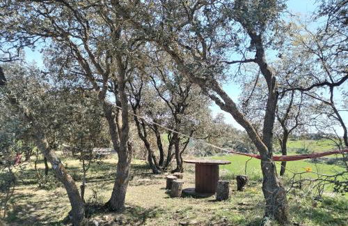 Masia Manonelles - Foto 60