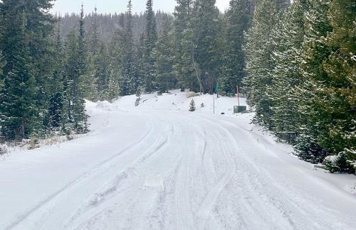 Bristlecone Cabin - Foto 11