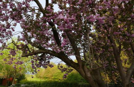 Lieblingsort am Moor - Foto 9