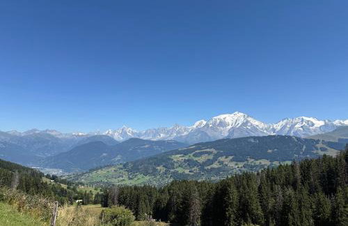 Appartement Soleil d'Or au cœur de Megève - Foto 46