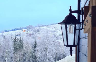 Osada Sierpnica - Uroczy dom z kominkiem i balią w Górach Sowich - Foto 34