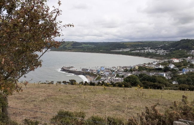 Newquay Haven Caravan 42x14 With Ocean Views - Foto 17