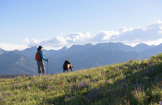 Lift House Lodge, Vail Lionshead Studio Condo, Walk to Gondola - Foto 17