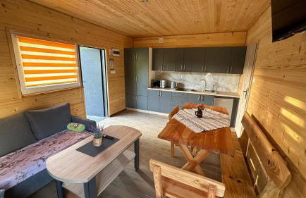 ZIELONY GAJ przy SOLINIE - Foto 5