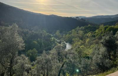 Quinta da Recochina - Foto 48