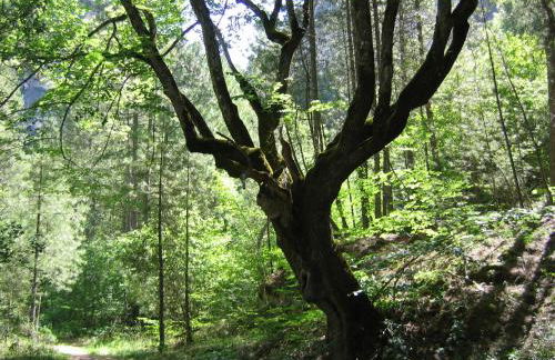 Apartamentos Miguel Angel - Foto 54