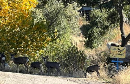 Mountain View Home - Foto 11