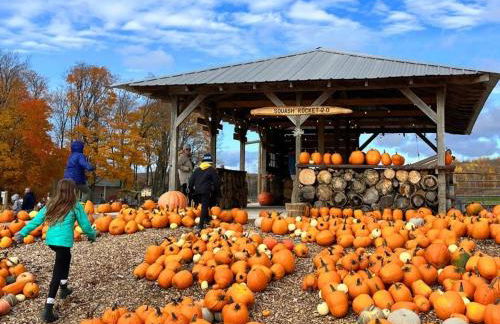 Autumn Escape by the Cape 4 drm home - Photo 10