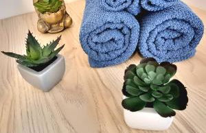 Studette avec terrasse Comme à la maison - Foto 15