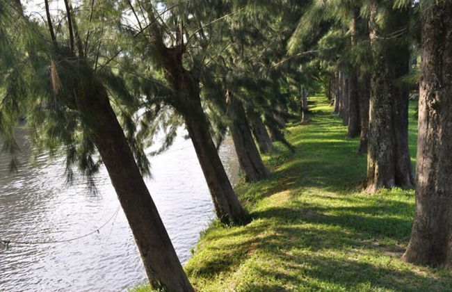 Complejo El Sitio Dorado - Foto 50