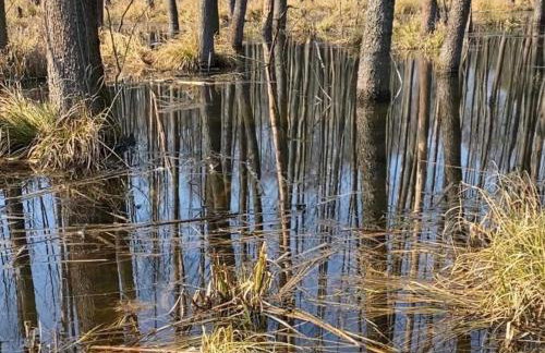 Moje Podlasie - Dom w Siemichoczach - Foto 33